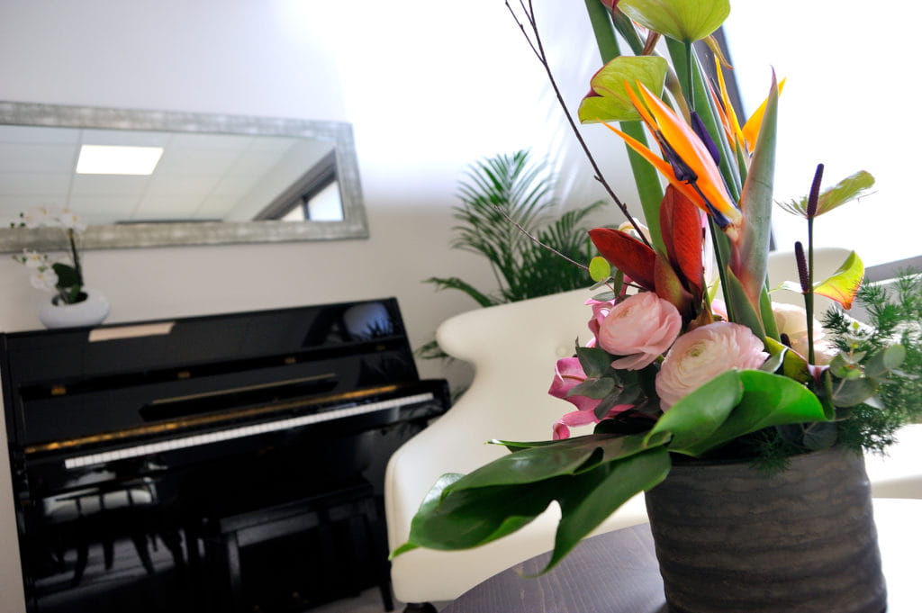 CSof-bp-34 Le piano d'une maison de retraite Senectis.